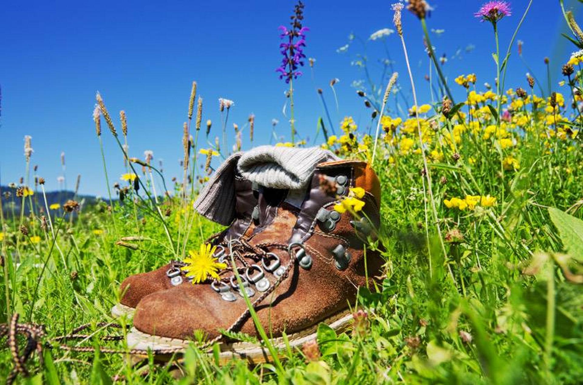 Ein paar Wanderstiefel aus braunem Leder stehen auf einer gr&uuml;nen Wiese.