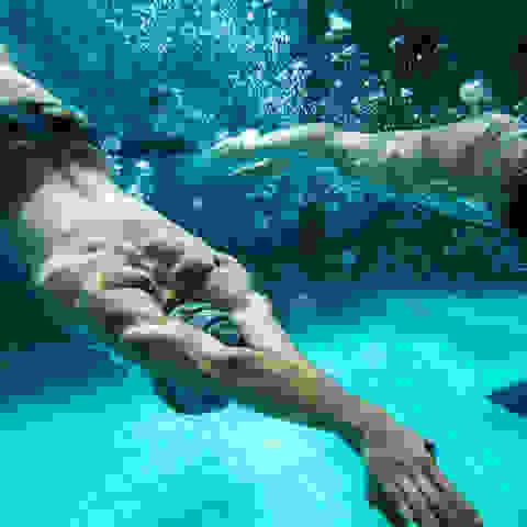 Schwimmer beim Schwimmtraining unter Wasser