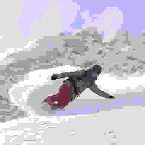 Ein Snowboarder fährt eine bewaldete Piste hinab.