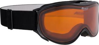 ALPINA CHALLENGE 2.0 DH Skibrille black transparent
