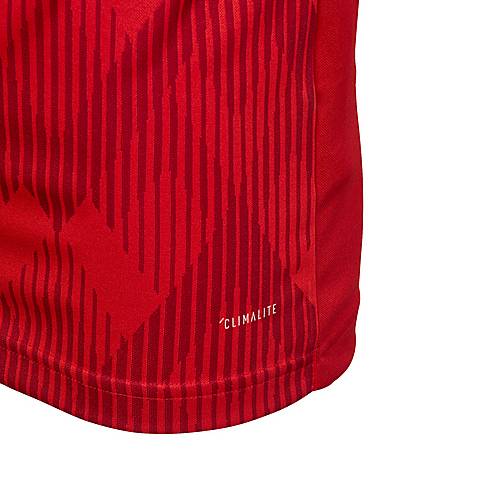 adidas FC Bayern 1819 Heim Fußballtrikot Kinder FCB TRUE RED im Online Shop von SportScheck kaufen adidas FC Bayern 1819 Heim Fußballtrikot Kinder FCB TRUE RED im Online Shop von SportScheck kaufen