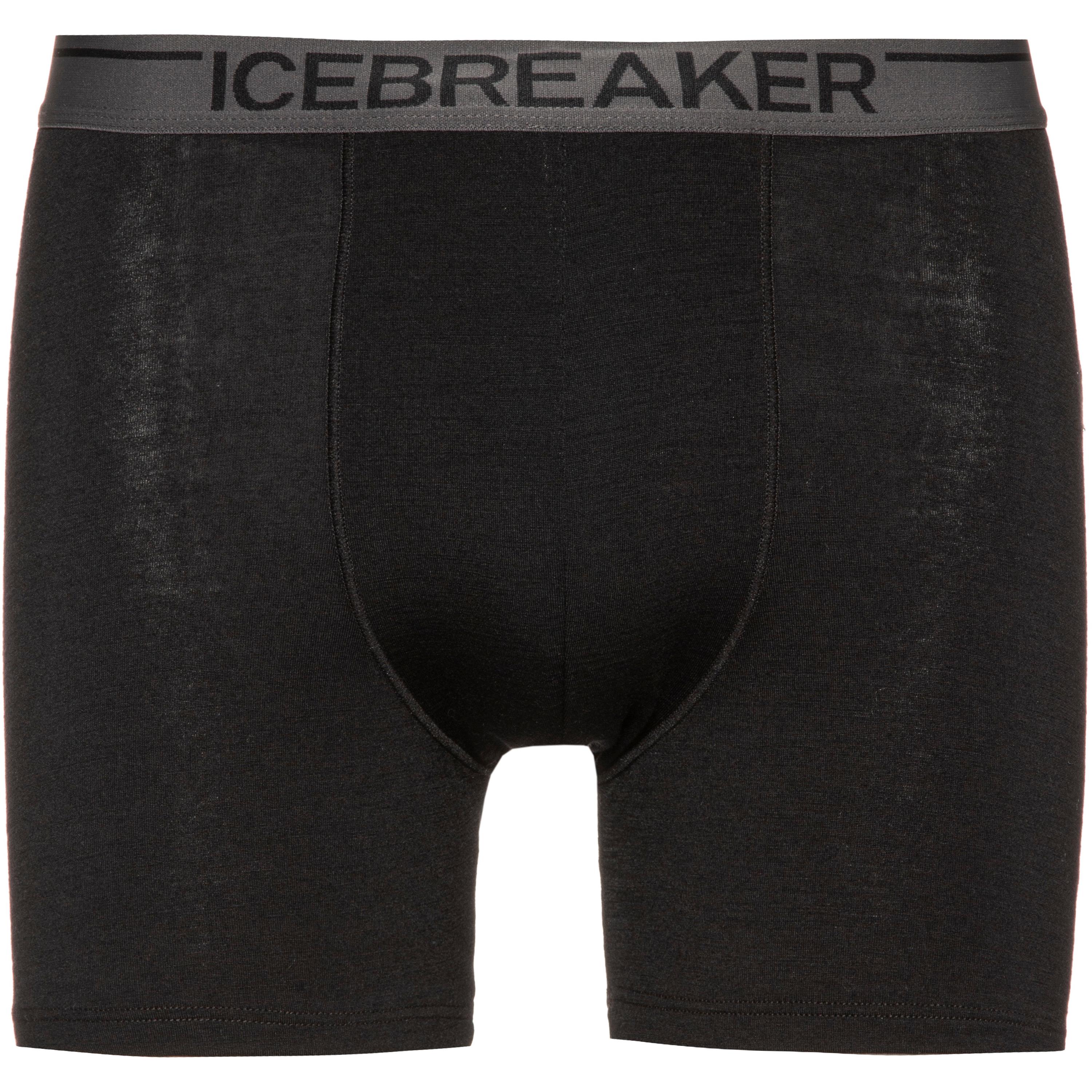 Image of Icebreaker Anatomica Boxer Herren
