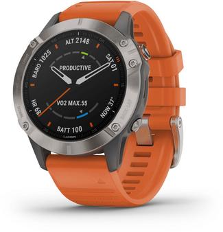 Garmin FENIX 6 SAPPHIRE TITANIUM Sportuhr grau/silber