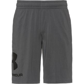 Under Armour Big Logo Funktionsshorts Herren grey