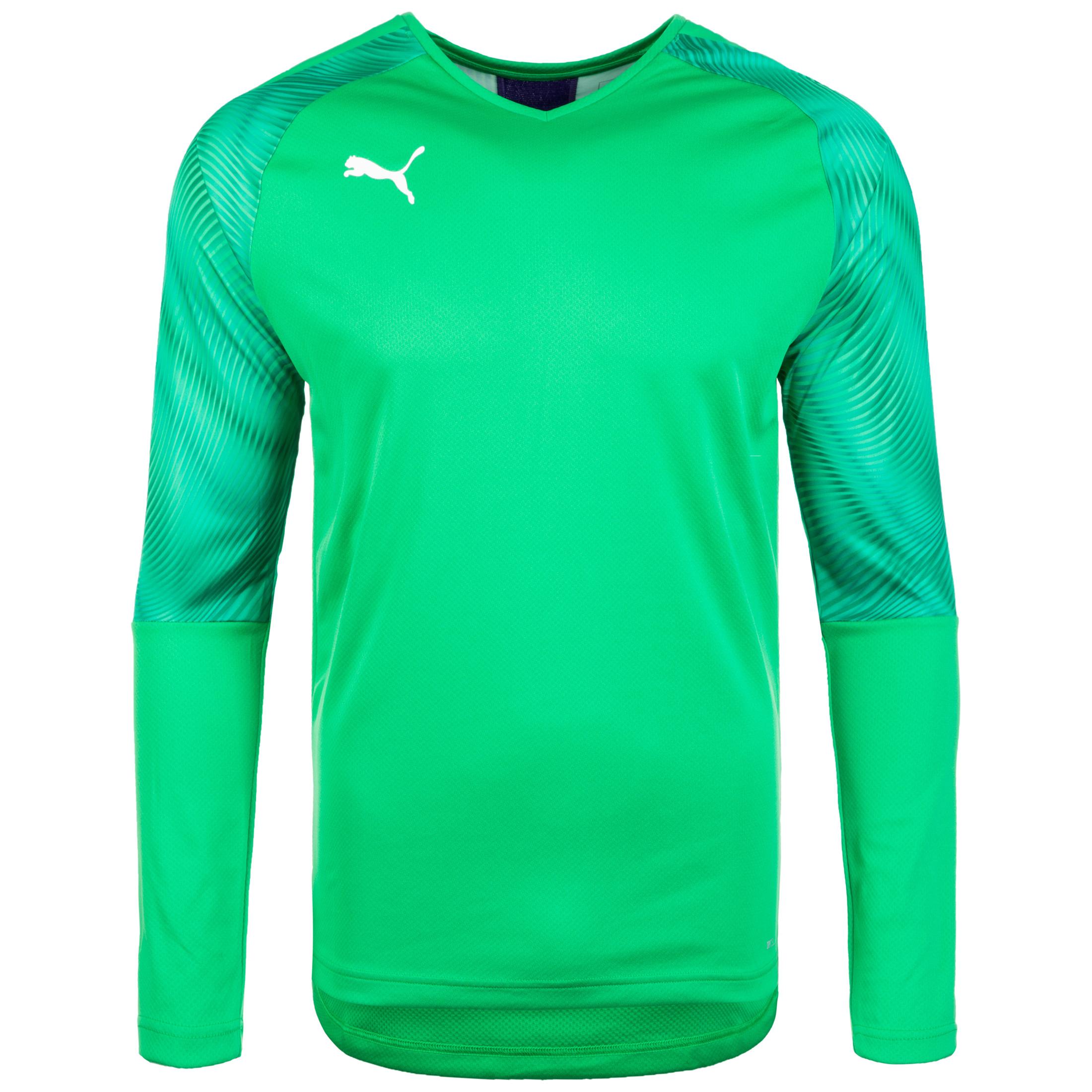 Puma Cup Torwarttrikot Herren Grun Lila Im Online Shop Von Sportscheck Kaufen