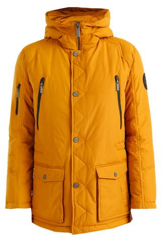 Finn Flare Winterjacke Herren autumn