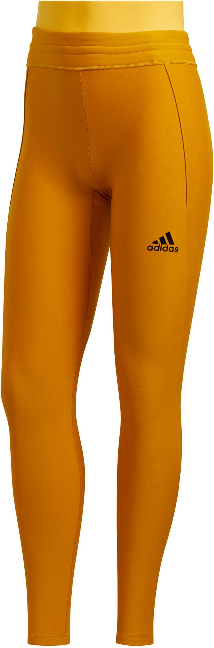 adidas adidas Alphaskin Cold.Ready Tights Damen - legacy gold - 0 | SportScheck