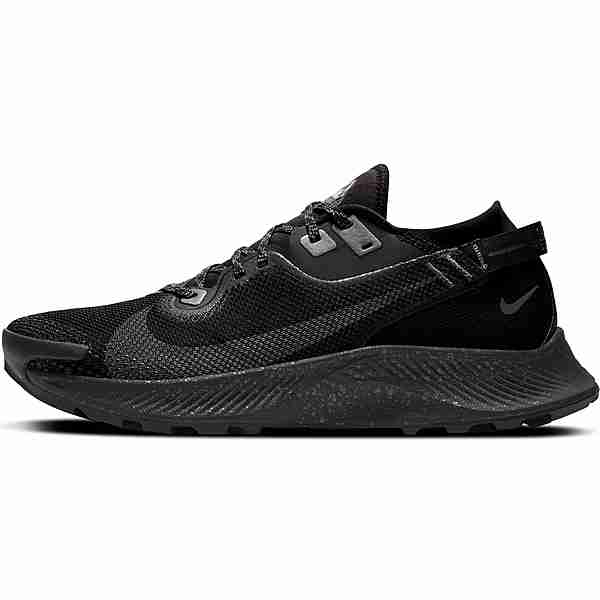Nike GTX Pegasus Trail 2 Trailrunning Schuhe Herren black-iron grey-mtlc dark grey