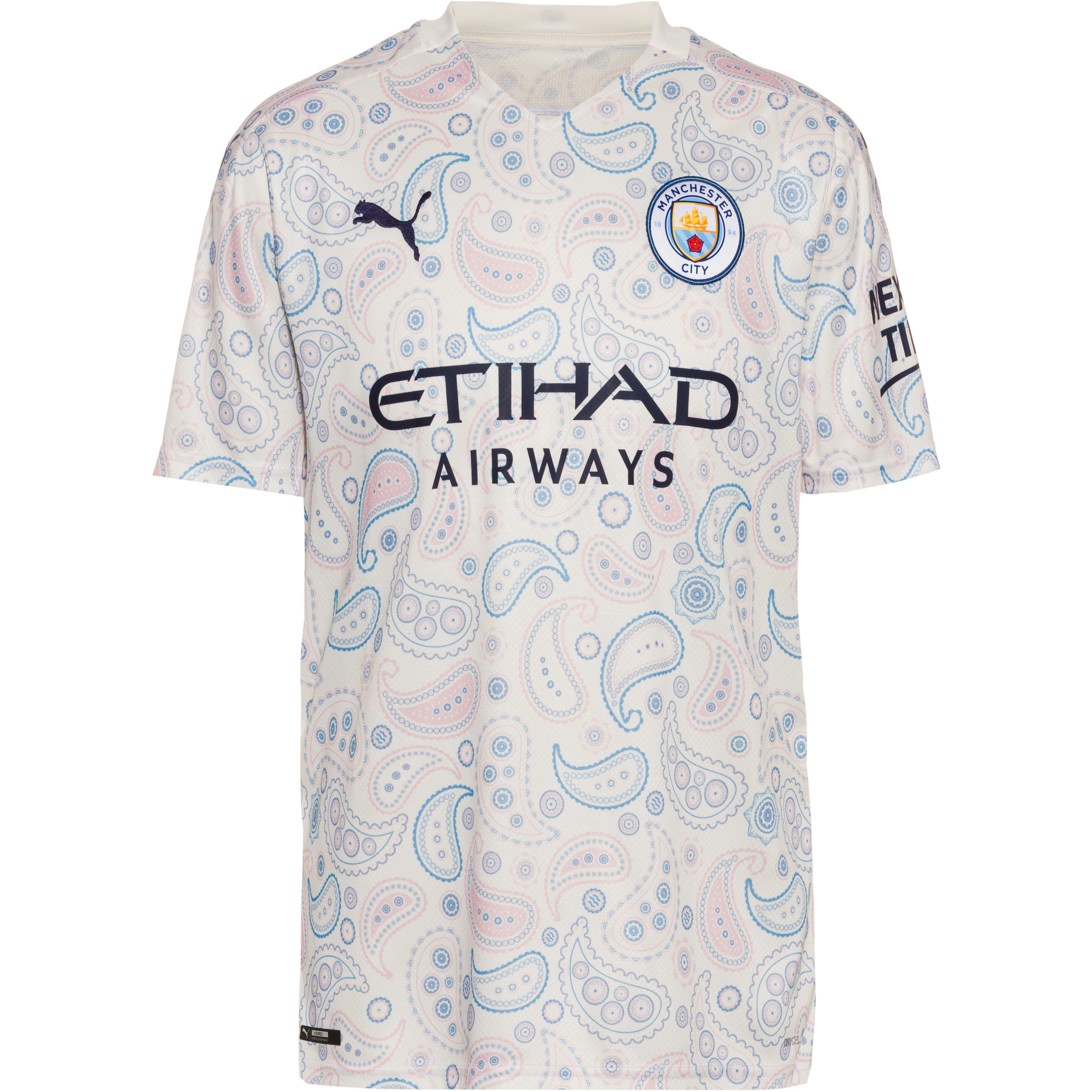 Man City Puma Trikot Pasteurinstituteindia Com