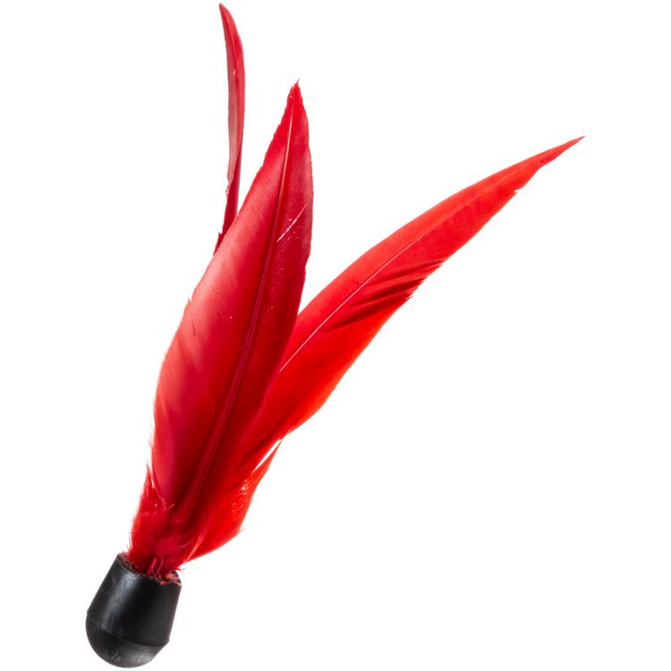 Schildkröt null - 0 | SportScheck