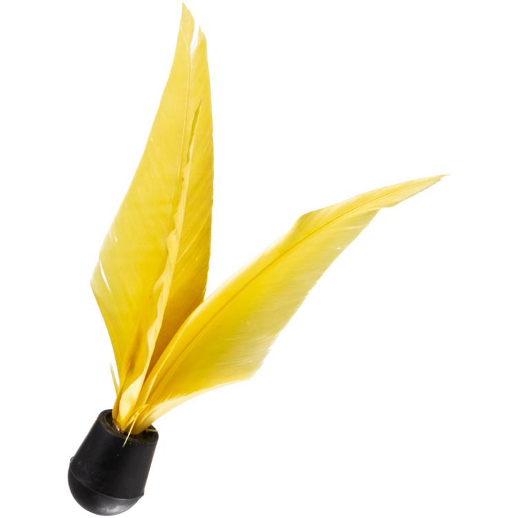 Schildkröt null - 0 | SportScheck