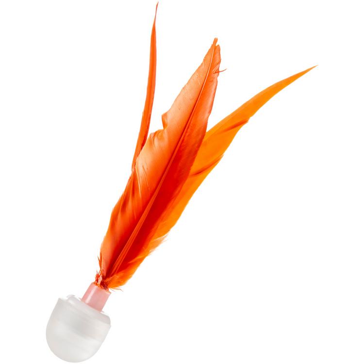 Schildkröt null - 1 | SportScheck