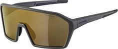ALPINA RAM HM+ Sportbrille coffeegrey matt