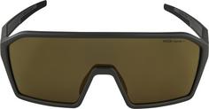 Rückansicht von ALPINA RAM HM+ Sportbrille coffeegrey matt