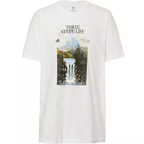 Adidas Mountain Graphic T Shirt Herren White Im Online Shop Von Sportscheck Kaufen