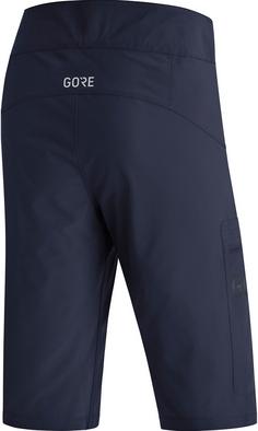 Rückansicht von GOREWEAR Passion Fahrradshorts Herren orbit blue