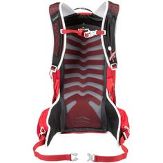 Rückansicht von Osprey Talon 22 Wanderrucksack cosmic red