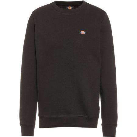 Dickies Oakport Sweatshirt Herren Sweatshirts M Normal  | 00194904327773