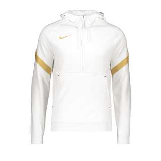 Nike Strike 21 Fleece HalfZip Hoody Funktionssweatshirt Herren weissgold