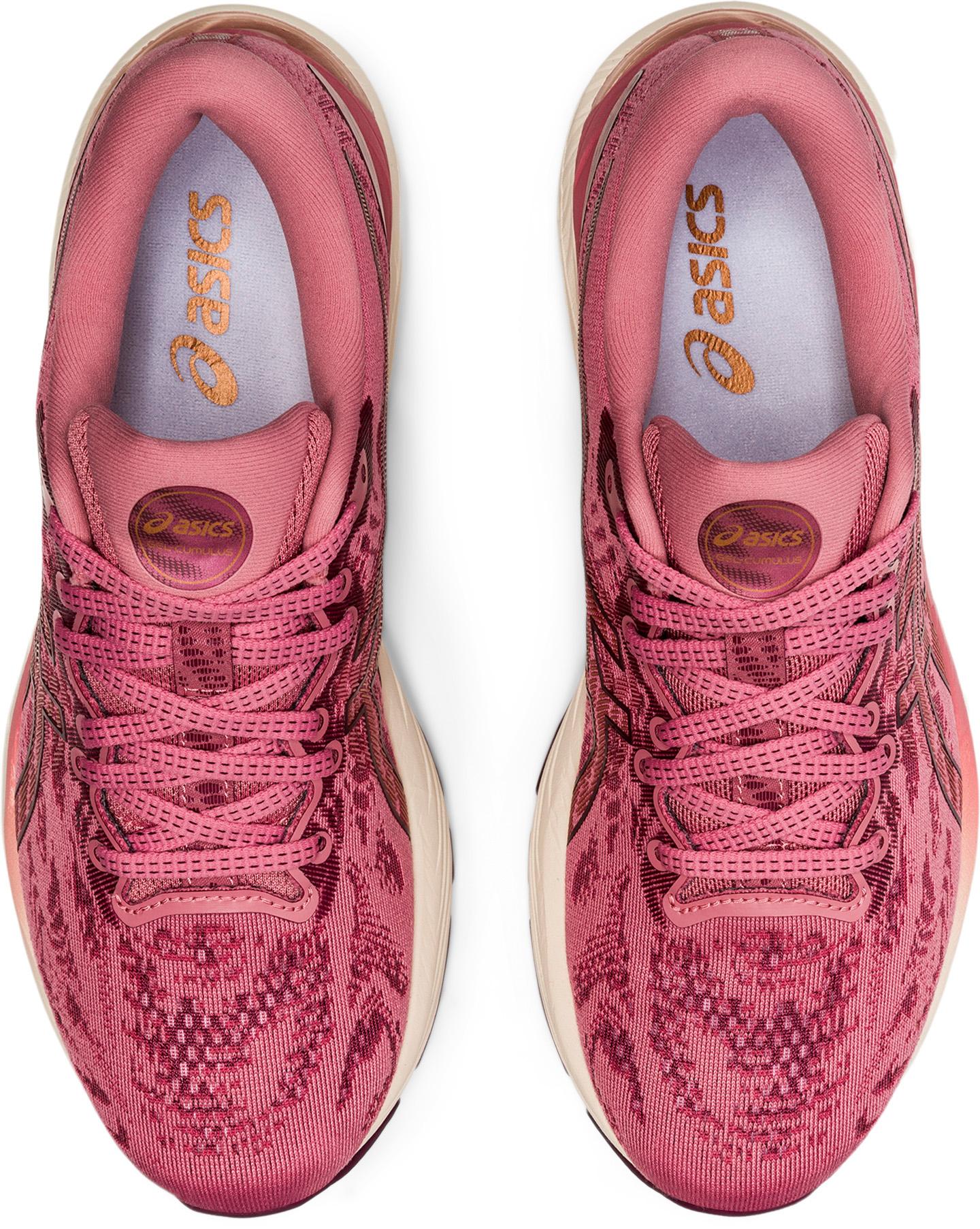 asic cumulus damen
