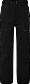 The North Face CHAKAL Skihose Herren - tnf black