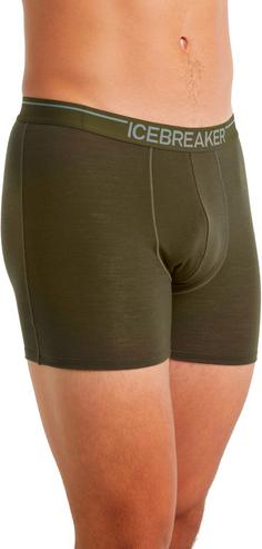 Rückansicht von Icebreaker Merino Anatomica Boxershorts Herren loden