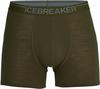 Icebreaker 150 Anatomica Unterhose Herren - loden