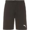 PUMA teamRISE Fu&szlig;ballshorts Herren - puma black-puma white