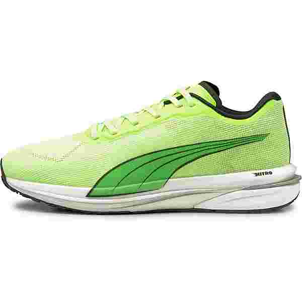 PUMA Velocity Nitro Laufschuhe Herren green glare-puma black im Online Shop von SportScheck kaufen