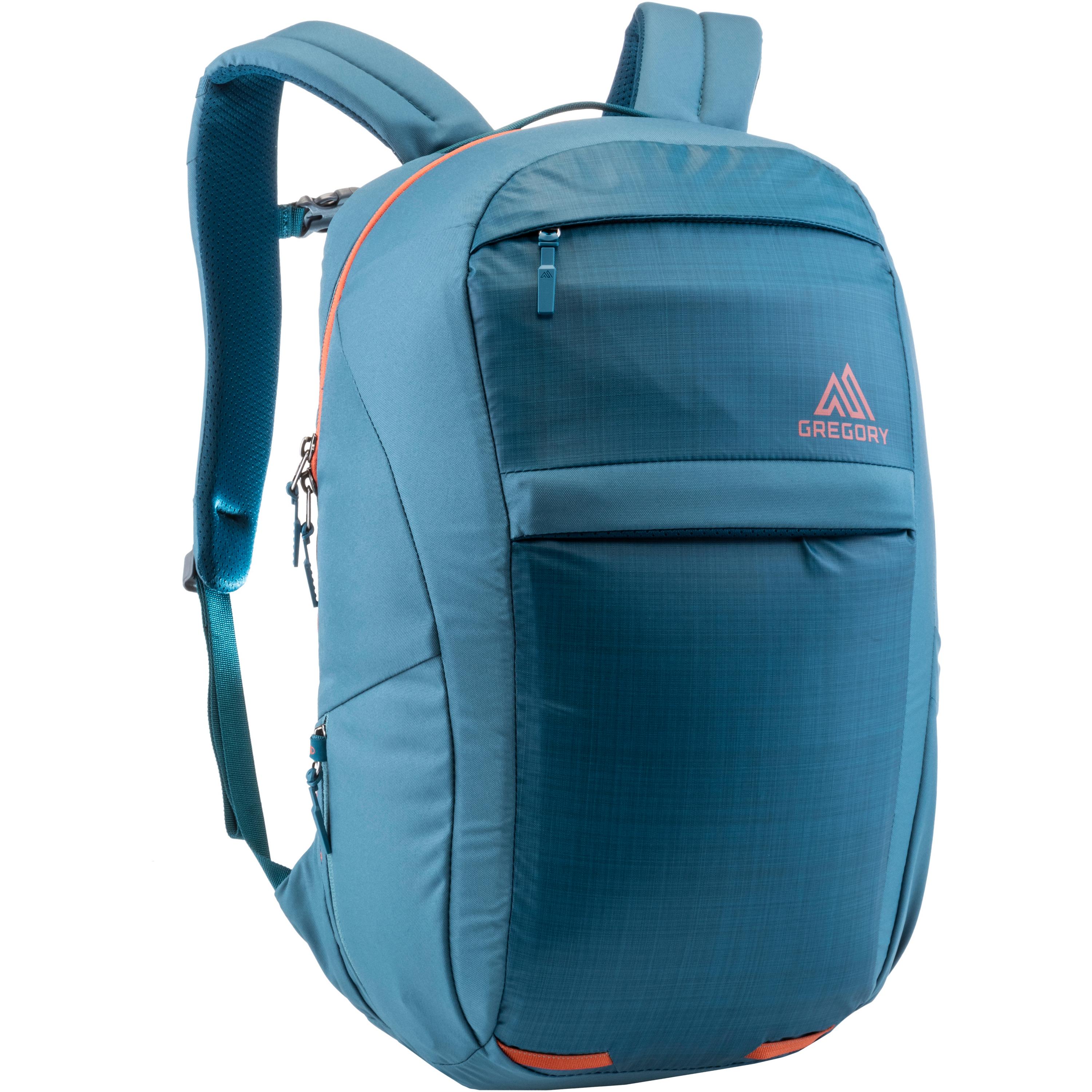 Image of Gregory RESIN 24 Daypack