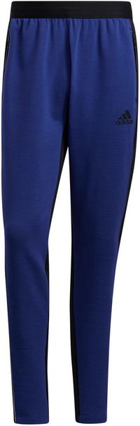 adidas DESIGNED4TRAINING COLD READY Trainingshose Herren - victory blue