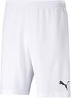 PUMA teamRISE Fu&szlig;ballshorts Herren - puma white-puma black