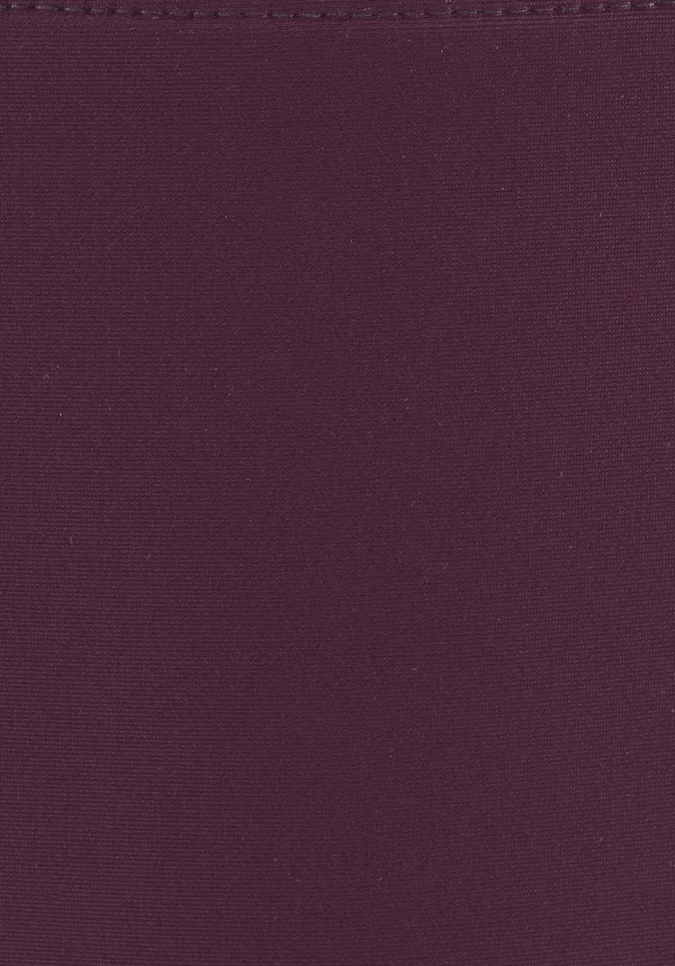 Lascana Lascana Bikini-Hose Bikini Hose Damen - bordeaux - 3 | SportScheck