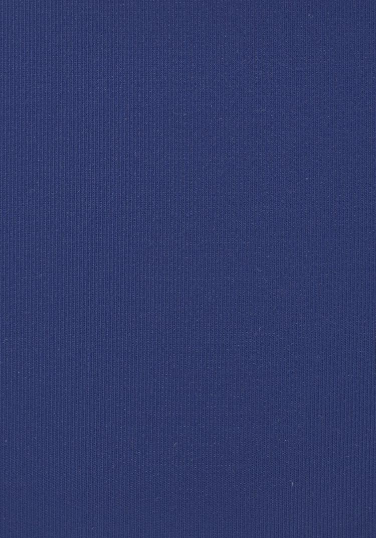 Buffalo Buffalo Bikini-Hose Bikini Hose Damen - blau - 1 | SportScheck