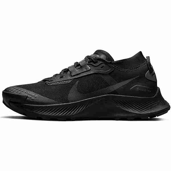 Nike GTX PEGASUS TRAIL 3 Laufschuhe Damen black-black-dk smoke grey-iron grey