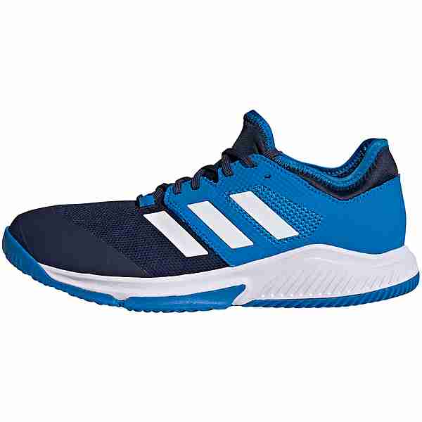 adidas Court Team Bounce Hallenschuhe Herren team navy blue-ftwr white-blue rush