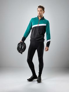 Rückansicht von L&ouml;ffler EVO ELASTIC Fahrradtights Herren black