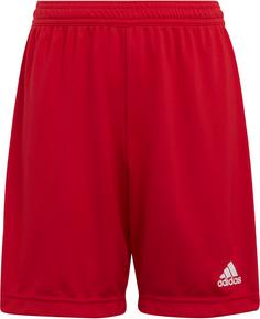 adidas Entrada22 Fußballshorts Kinder team power red