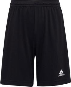 adidas Entrada22 Fußballshorts Kinder black