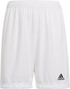 adidas Entrada22 Fu&szlig;ballshorts Kinder - white