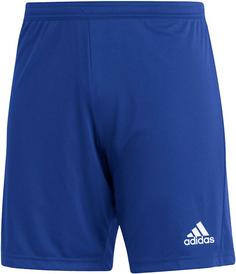 adidas Entrada22 Fußballshorts Herren team royal blue