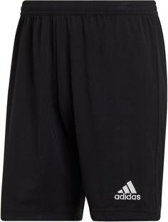 adidas Entrada22 Fußballshorts Herren black