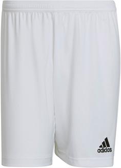 adidas Entrada22 Fußballshorts Herren white