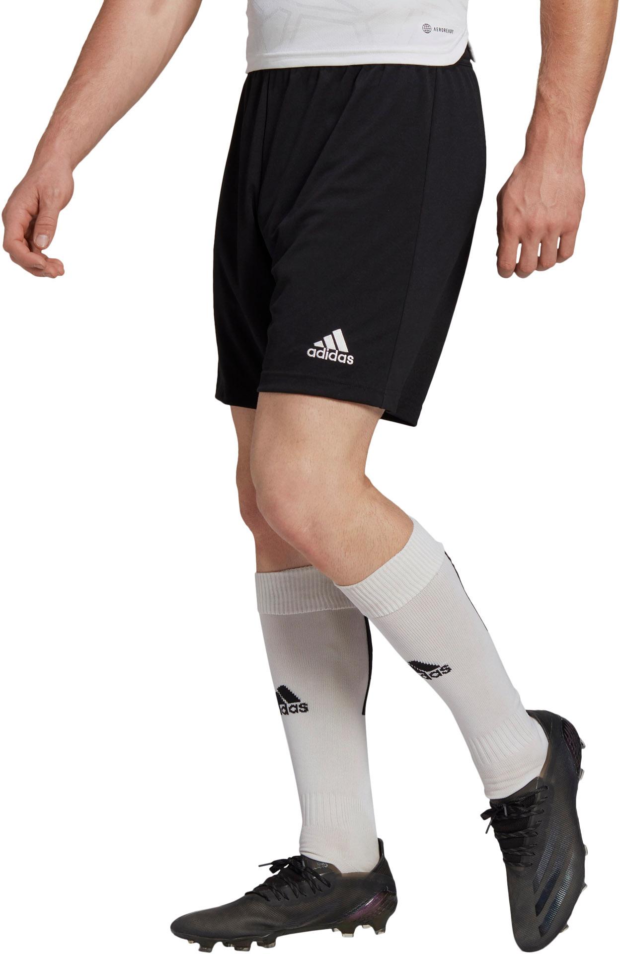 Adidas Entrada22 FuBballshorts Herren black im Online Shop von SportScheck kaufen