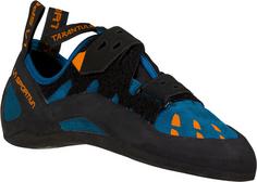 Rückansicht von La Sportiva Tarantula Kletterschuhe space blue-maple