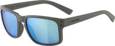 ALPINA Kosmic Sportbrille moon-grey matt