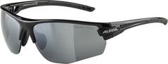 ALPINA TRI-SCRAY 2.0 HR Sportbrille black matt