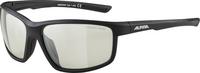ALPINA DEFEY Brille - black matt