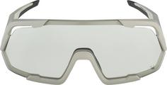 Rückansicht von ALPINA ROCKET V Sportbrille cool-grey matt