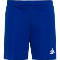 adidas Entrada22 Fußballshorts Kinder team royal blue